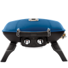 Kamado Grills